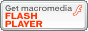 Scarica Macromedia Flash player